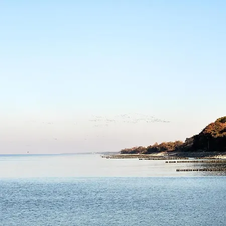Baltic Viking Bliżej Morza Kołobrzeg
