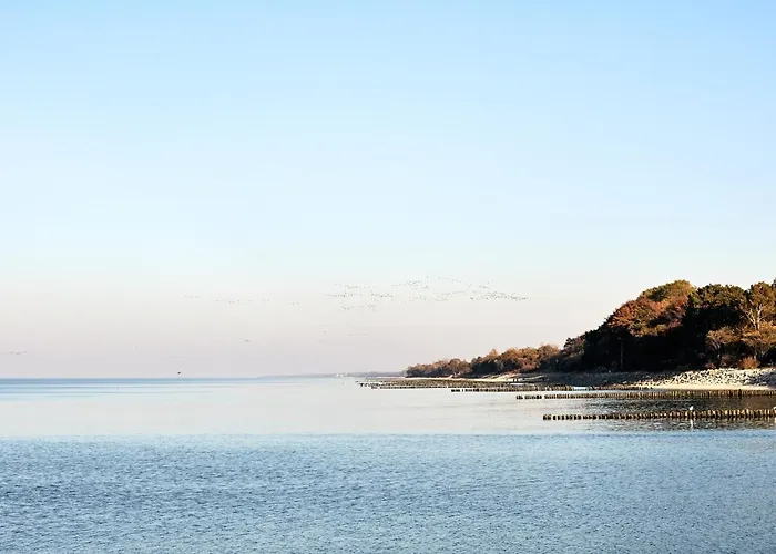 Baltic Viking Blizej Morza Kołobrzeg